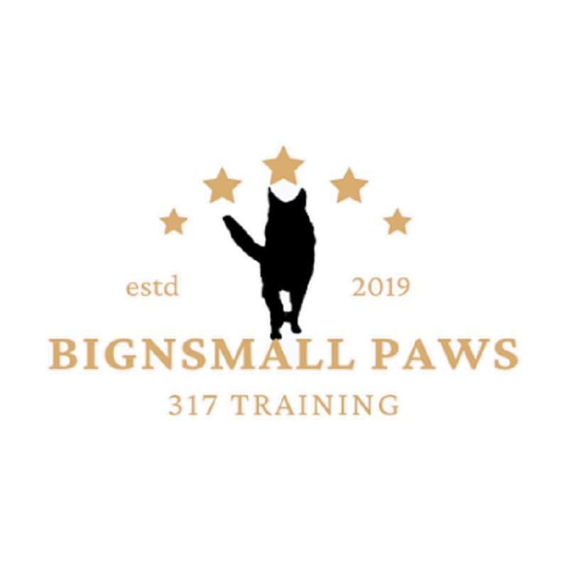 Big N' Small Paws 317