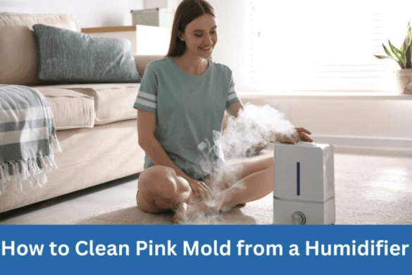 How To Clean Pink Mold From A Humidifier