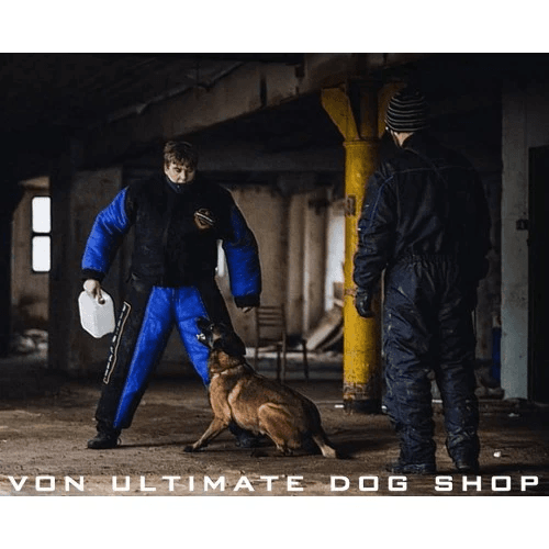 Must-Have Dog Accessories for Every Trainer