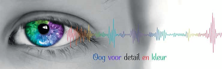 Professioneel Documenten Printen Online bij Witteveen Printshop Doetinchem