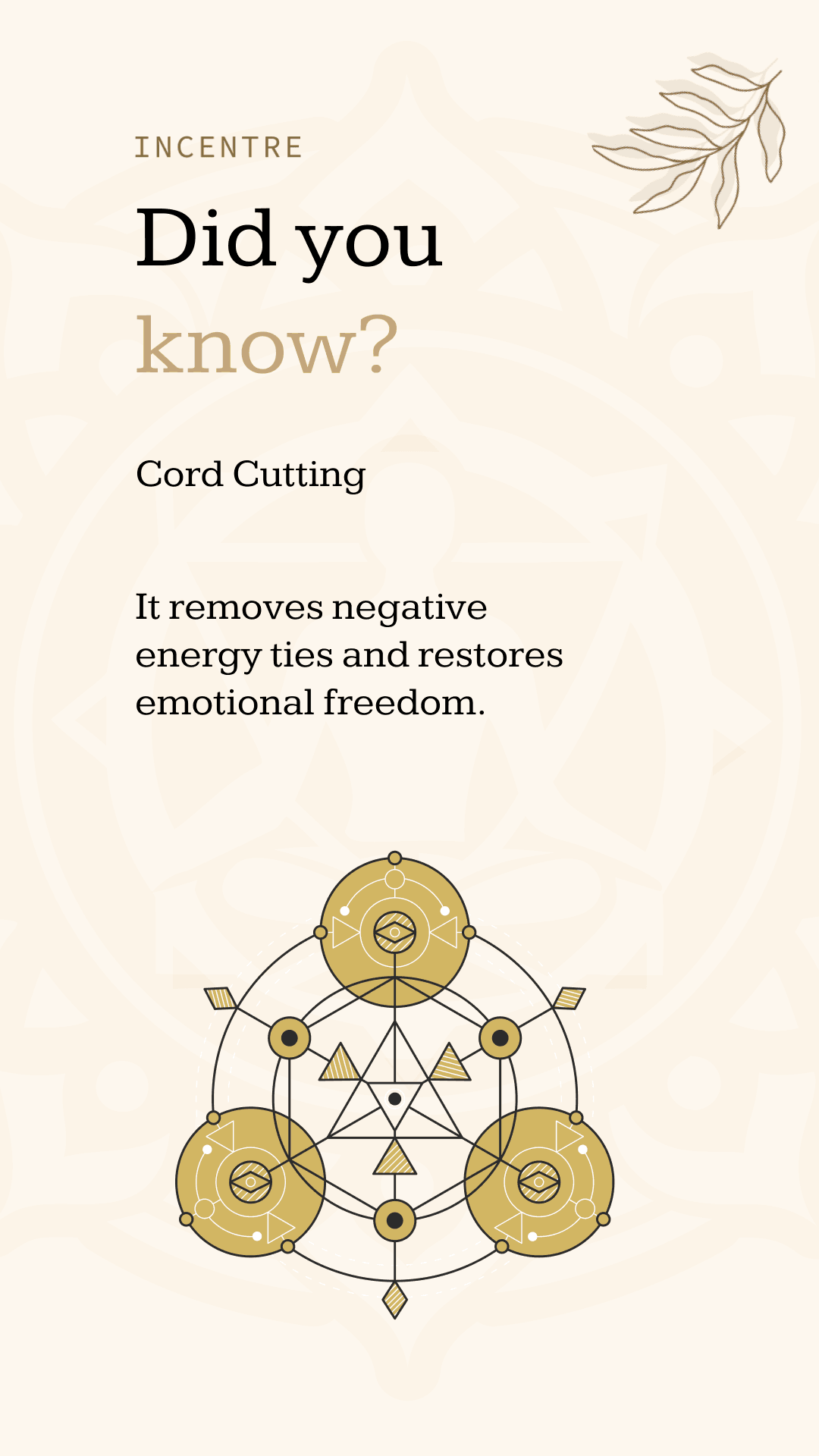 Transform Your Mind Body and Spirit with  Energy Healing