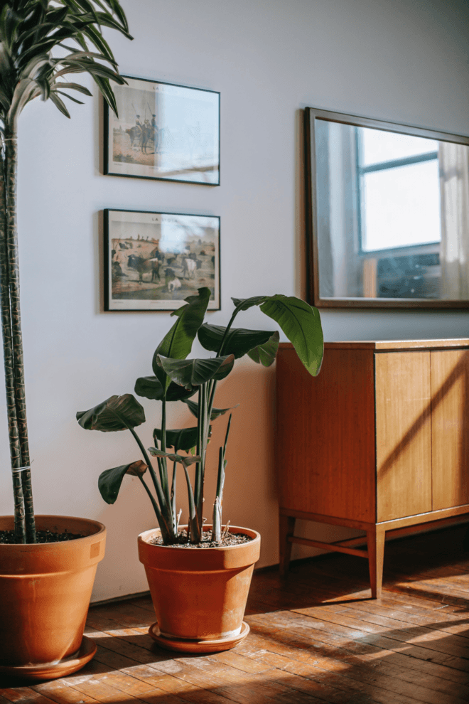 What is Classic Contemporary Interior Design?