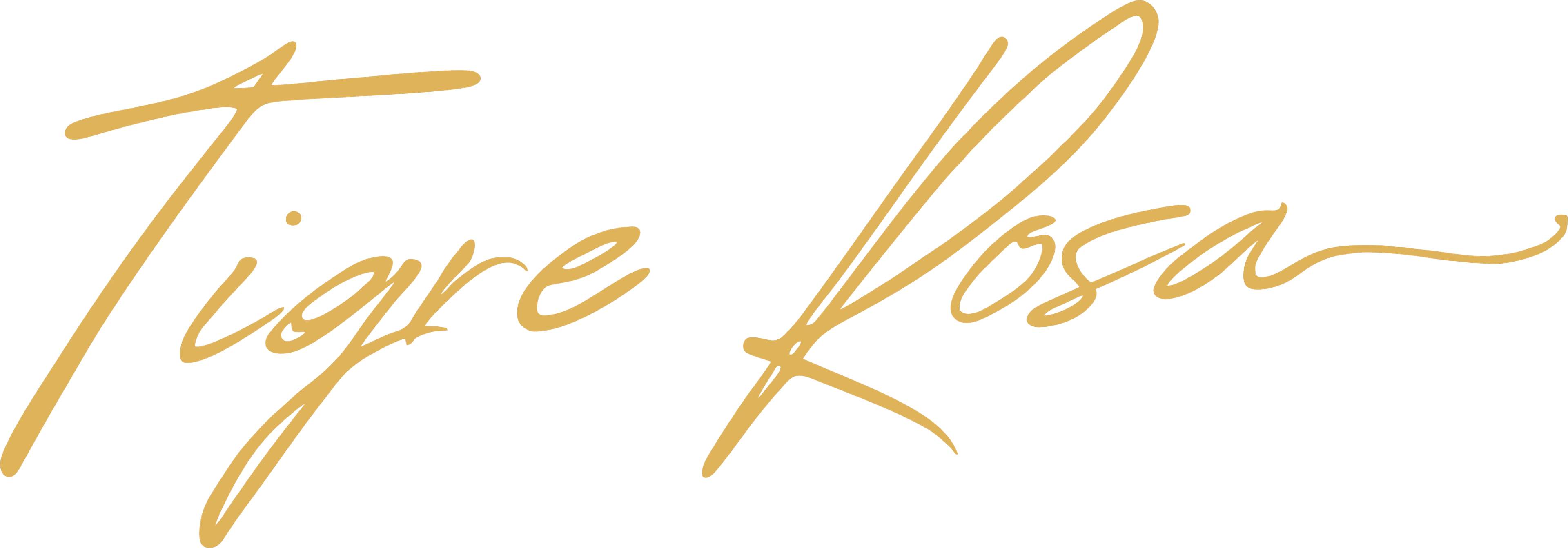 Tigre Rosa | Luxury Women’s Heels & Stylish Shoes in Dubai