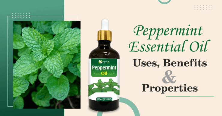 Peppermint Essential Oil: A Refreshing Infusion of Wellness 