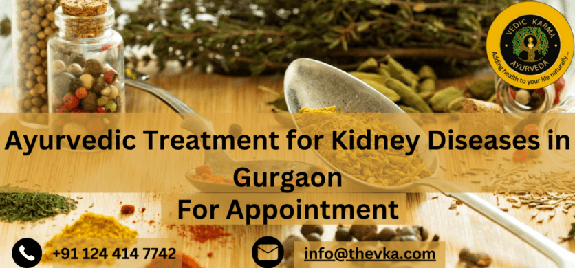 Living Well with CKD: Diet, Lifestyle Changes, and Treatment Options