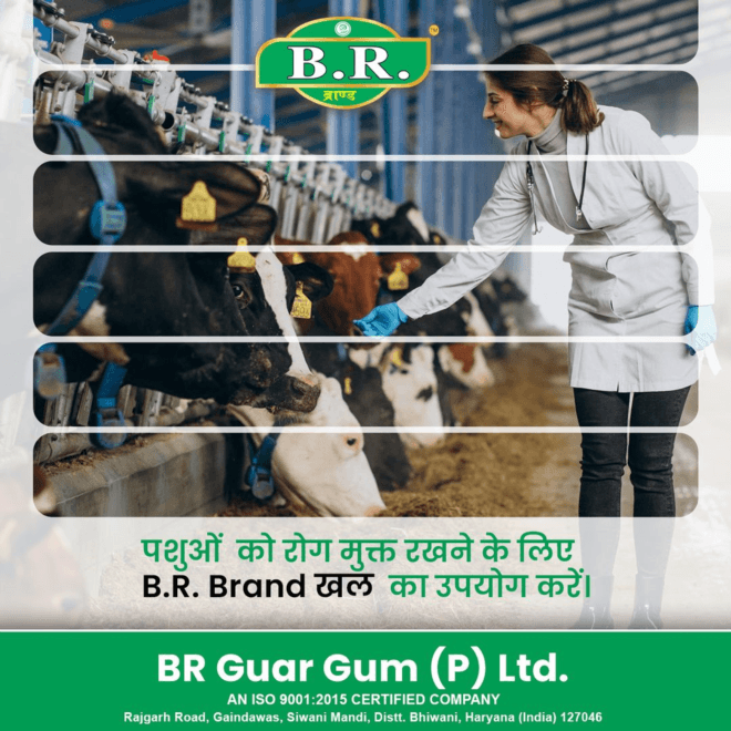 Benefits of Proper Binola Khal for Cow
