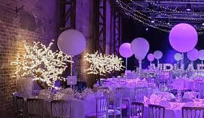 Celebration Trees