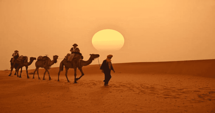 Chasing Sunsets: The Enchantment of Camel Rides and Tours in the Desert from Marrakech