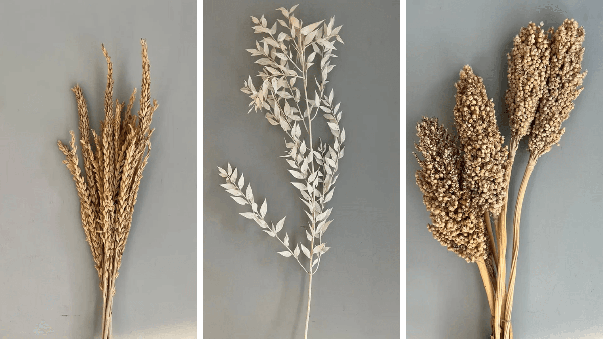 Premium Dried Flowers for Long-Lasting Home Décor