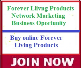 Forever Living Network Marketing Business opportunity