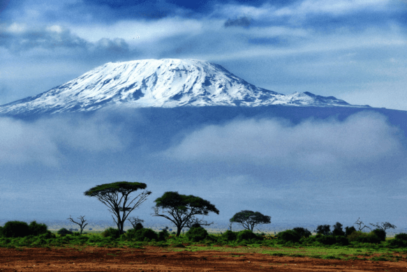 Mount Kilimanjaro trekking, and African safari bookings update