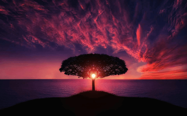 Physical health forms the cornerstone of our overall well-being