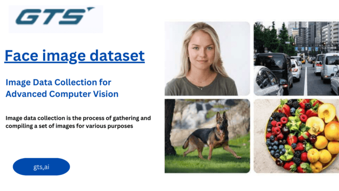 Empowering AI Through Face Image Datasets: Revolutionising Facial Recognition and Beyond