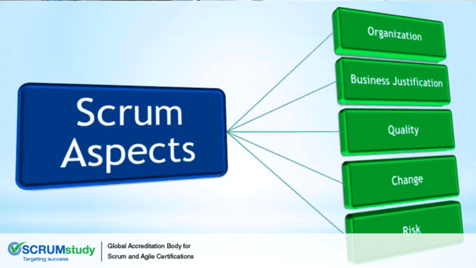 How can Scrum training be tailored to effectively address the needs and roles of stakeholders, and w