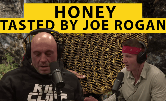 Joe Rogan Honey: Unveiling Nepal’s Extraordinary Mad Honey Phenomenon
