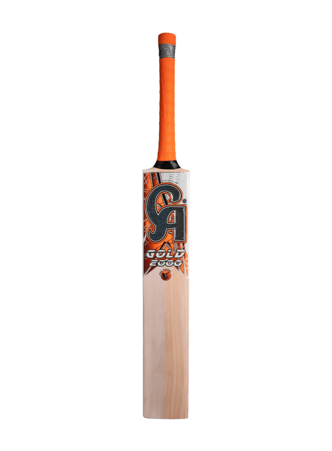 How to Choose the Right Cricket Bat