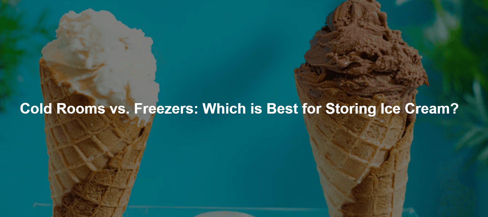 Cold Rooms vs. Freezers: Which is Best for Storing Ice Cream