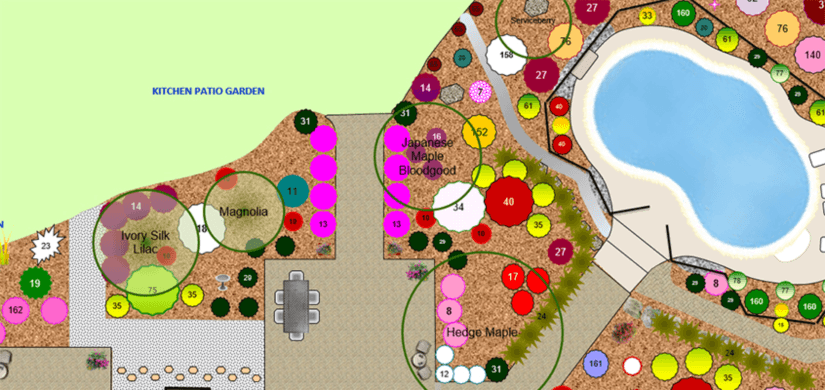 The Joys of a Well-Tended Vegetable Garden Management Program