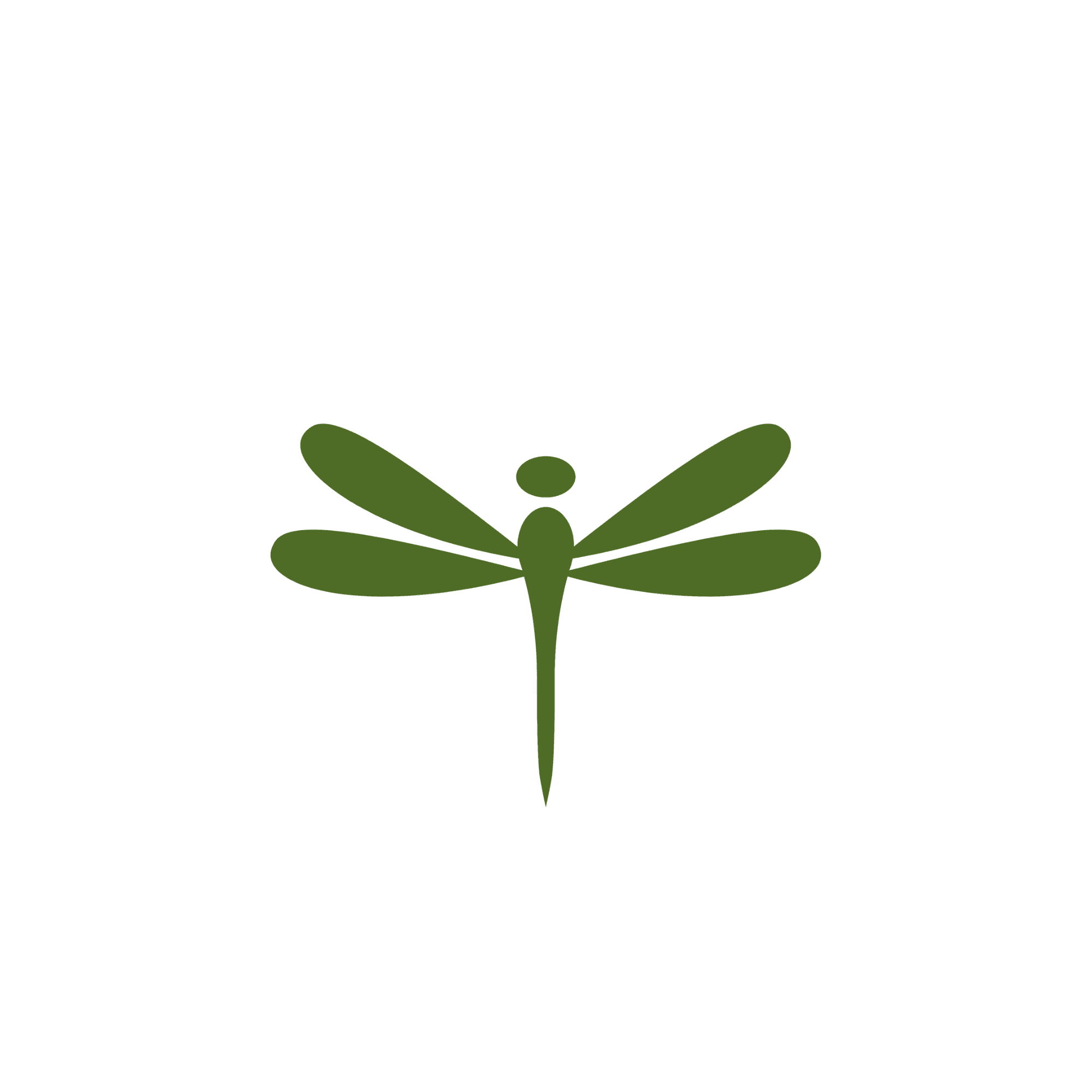 The Dragonfly Nest LLC