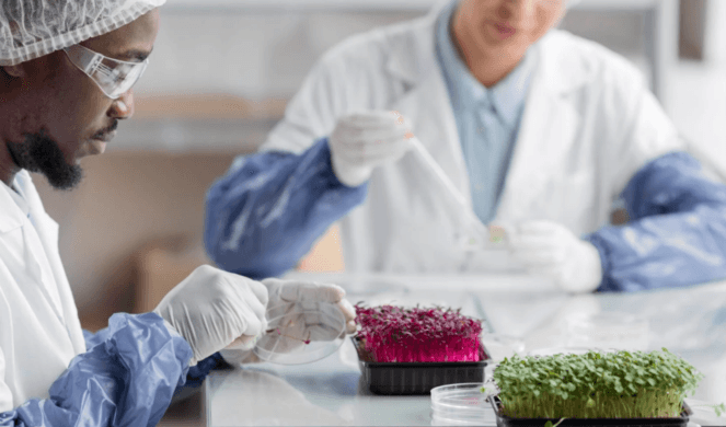 Ethics of Sustainable and Ethical Sourcing in Supplement Manufacturing
