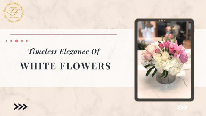 THE TIMELESS ELEGANCE OF WHITE FLOWERS