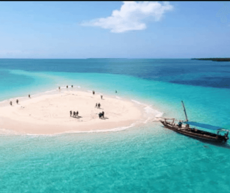 Unveiling The Natural Wonders Of Zanzibar: Safari Blue Tour Highlights