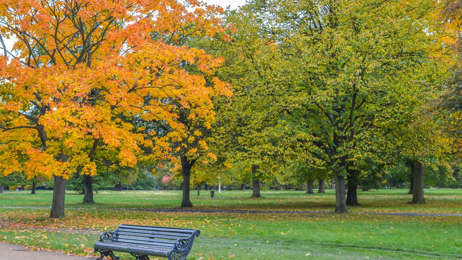How to Enjoy the 2025 British Summer Time Hyde Park