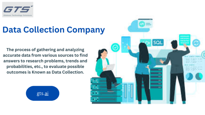 The Rise and Role of a Data Collection Company in Modern Business