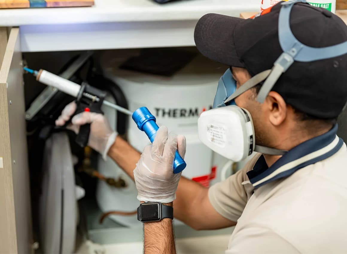 Reliable Pest Control Solutions in Deer Park