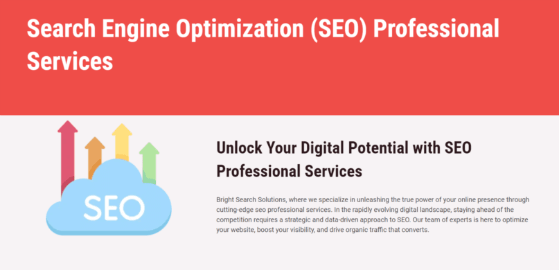 Maximize ROI with Proven SEO Professional Services : Bright Search Solutions