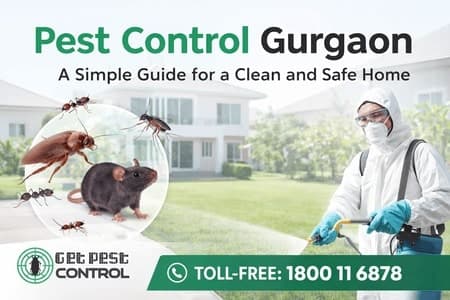 Pest Control Gurgaon – A Simple Guide for a Clean 