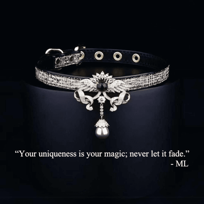 Master Love: Where Luxury Meets Devotion in Leather Day Collars