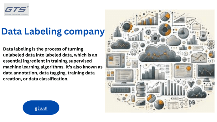 Enhancing AI Accuracy: The Role of a Data Labeling Company