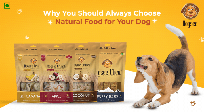 Is Your Pet Not Eating Their Food? Find Pet Food That They Love