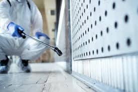Lead Remediation Greenville