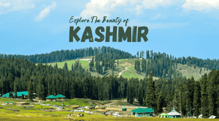 A Special Tour from Chandigarh to Jammu & Kashmir with New Chandigarh Travels | Unveiling Winter Mag