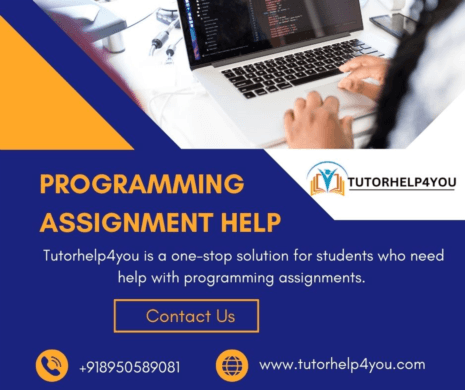 Programming Assignment Help