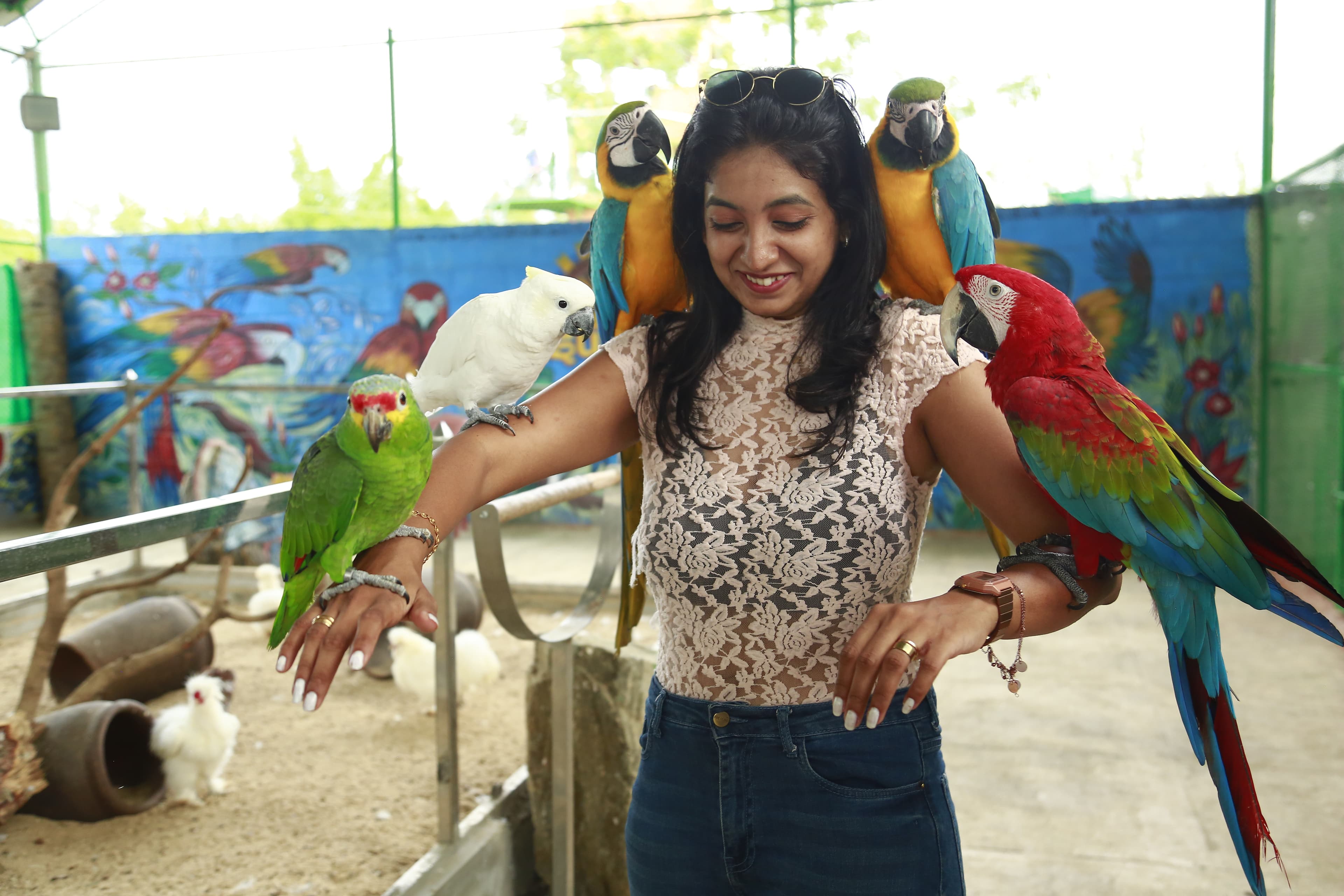 Day Outing Resorts in Bangalore