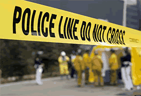 Professional Immigration Lawyer for Family & Business 