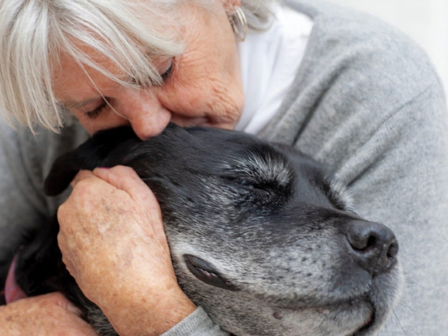 Gentle Pet Crossing - Aquamation/Euthanasia Servicess