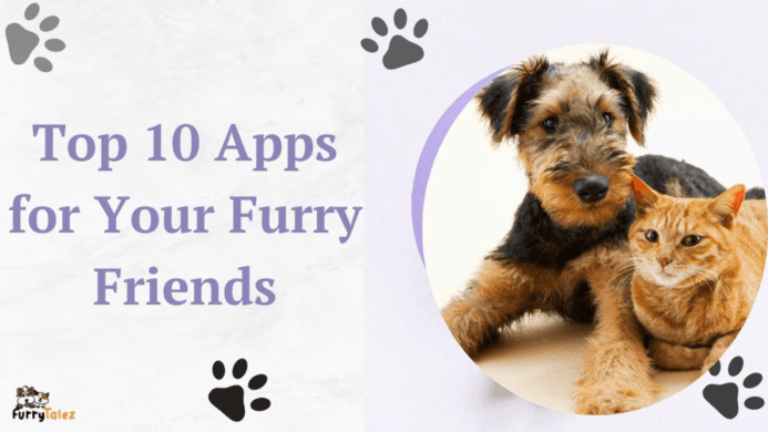 Top 10 Apps for Your Furry Friends