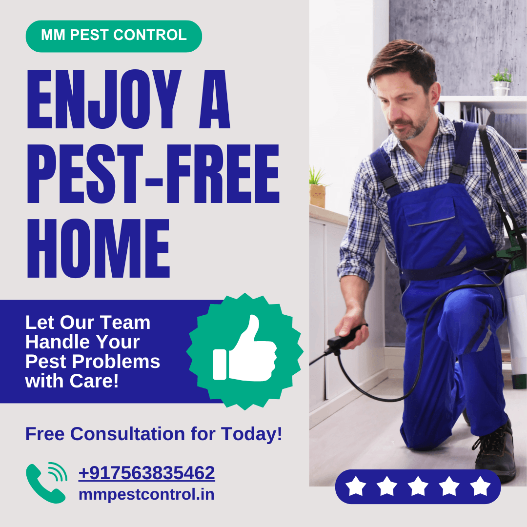 MM pest control is best service provider 
