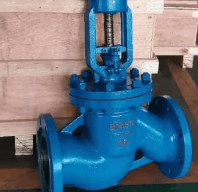 Bellow Seal Globe Valve Manufacturer in India