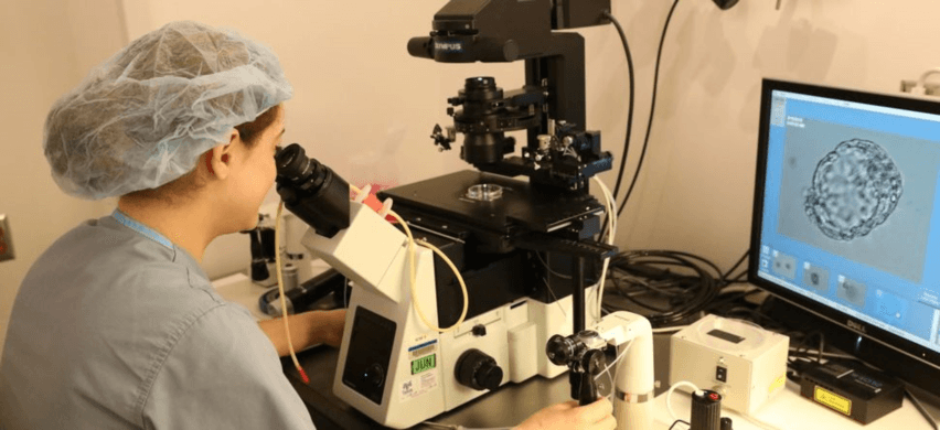 Career in Reproductive Medicine Fellowship 