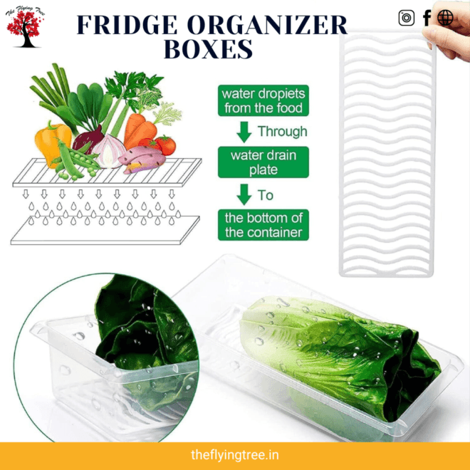 Fridge storage container