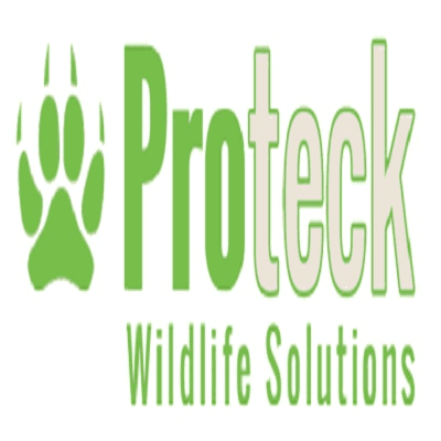 Rat pest control solutions winter park fl
