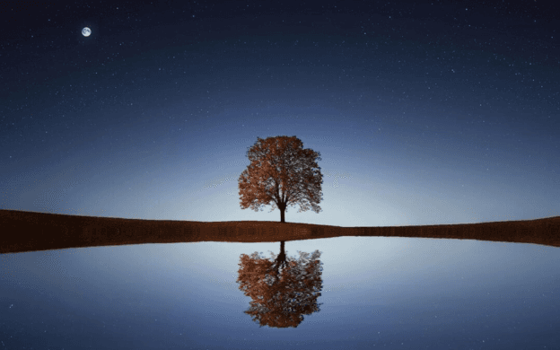 Finding the Still Calm of Mental Focus