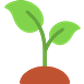 Vegetable Garden Planning: A Step-by-step Management Program