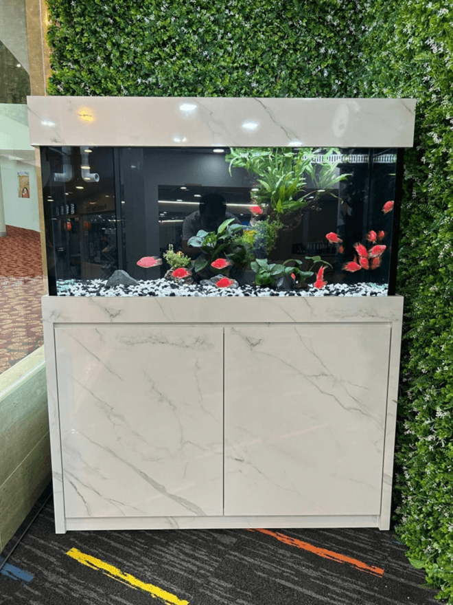 Buy marine fish tank