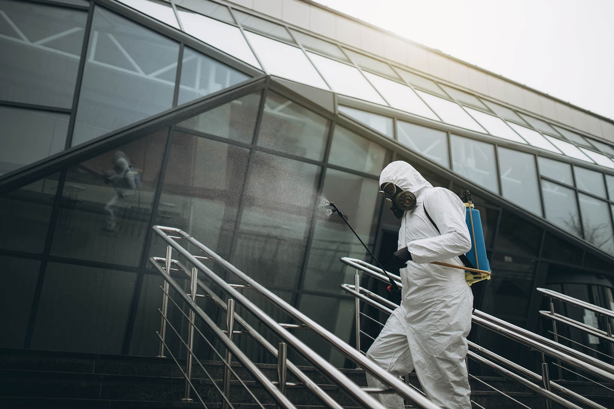 Reliable Pest Control in Altona – RFPest Management